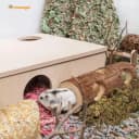 Natural Wooden Hamster Mouse Tunnel Tube Toy — Forest Hollow Tree Trunk