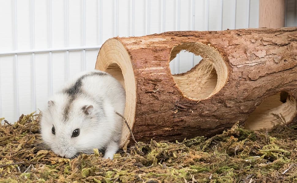 Natural Wooden Hamster Mouse Tunnel Tube Toy — Forest Hollow Tree Trunk — product details