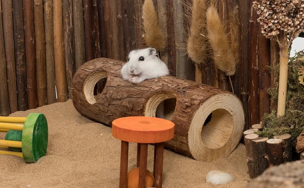 Natural Wooden Hamster Mouse Tunnel Tube Toy — Forest Hollow Tree Trunk — product details