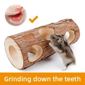 Natural Wooden Hamster Mouse Tunnel Tube Toy — Forest Hollow Tree Trunk — collection imagery