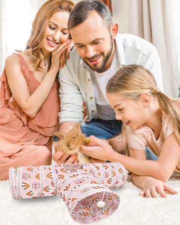 Rabbit Toys — Bunny Tunnels and Tubes — collection imagery