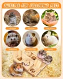 Guinea Pig Foraging Toys — 6 in 1 Hamsters Wooden Interactive Enrichment Toys