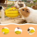 Hamster Enrichment Toys — Guinea Pig Rotating Foraging Toys Interactive Feed Game for Boredom