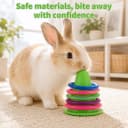 Rabbit Training Ring Toy — Puzzle Toy for Bunnies