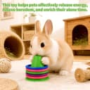 Rabbit Training Ring Toy — Puzzle Toy for Bunnies