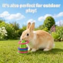 Rabbit Training Ring Toy — Puzzle Toy for Bunnies