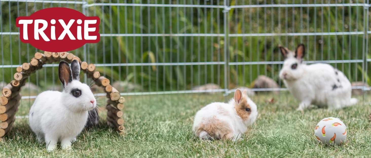 Small Animal Suspension Bridge — collection imagery