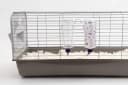 32oz Weather Resistant Water Bottles with Heavy Duty Mount for Rabbits and Ferrets (Rabbits)
