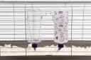32oz Weather Resistant Water Bottles with Heavy Duty Mount for Rabbits and Ferrets (Rabbits)