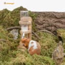 Water Bottle with Stand for Syrian Dwarf Hamsters Gerbils Mice Rats Degus Small pet Rodents