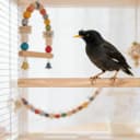 5pcs Wood Bird Perches — Parrot Cage Stand Pole Natural Wood Pet Bird Perch Stick Climbing Branch Rod Parrot