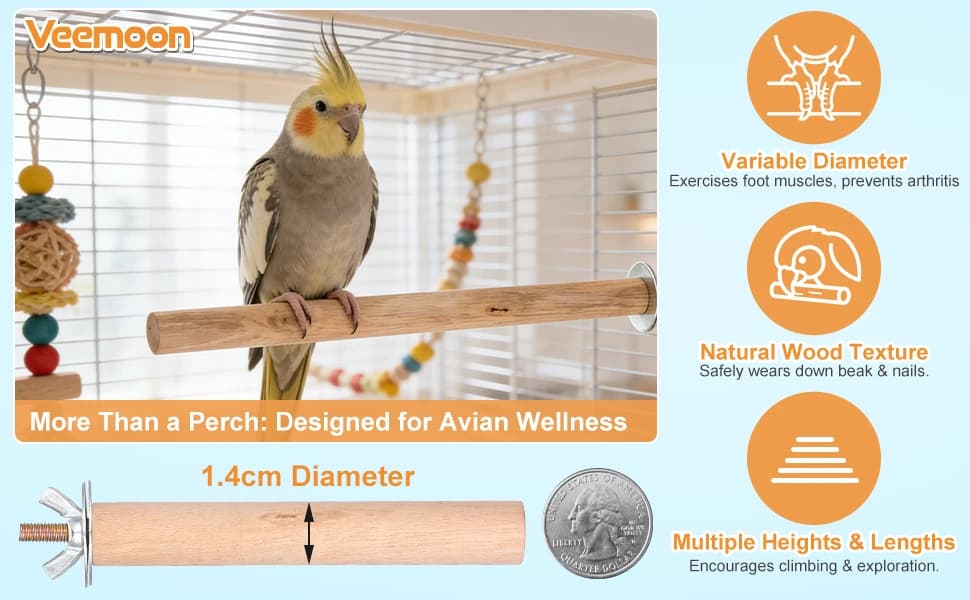 5pcs Wood Bird Perches — Parrot Cage Stand Pole Natural Wood Pet Bird Perch Stick Climbing Branch Rod Parrot — product details