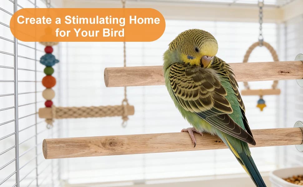 5pcs Wood Bird Perches — Parrot Cage Stand Pole Natural Wood Pet Bird Perch Stick Climbing Branch Rod Parrot — product details