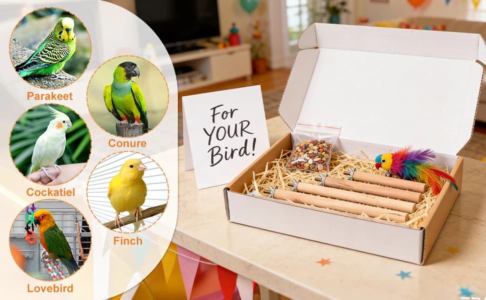 5pcs Wood Bird Perches — Parrot Cage Stand Pole Natural Wood Pet Bird Perch Stick Climbing Branch Rod Parrot — product details