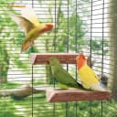 Parrot Cage Perch — Wooden Platform for Birds