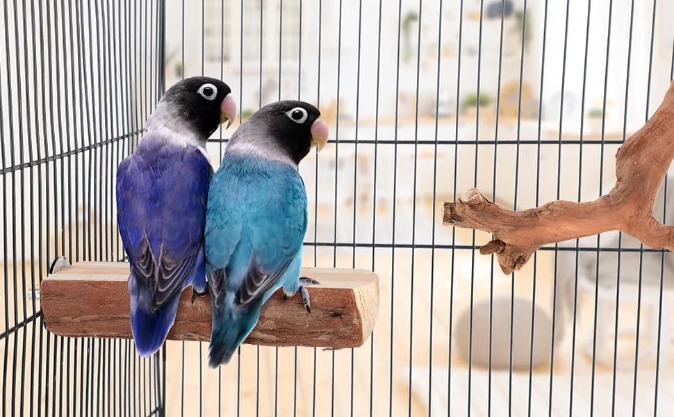 Parrot Cage Perch — Wooden Platform for Birds — product details
