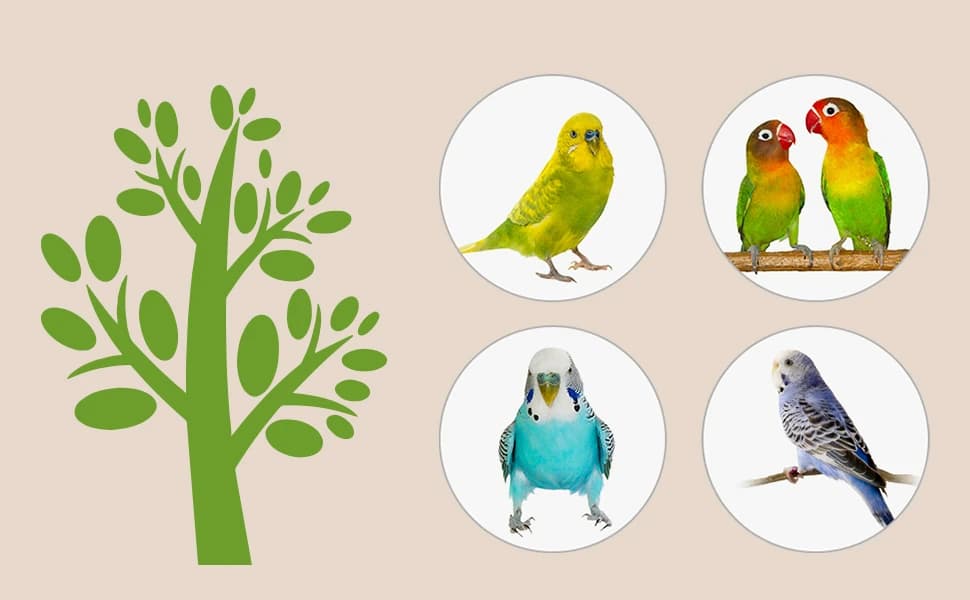 Parrot Cage Perch — Wooden Platform for Birds — product details