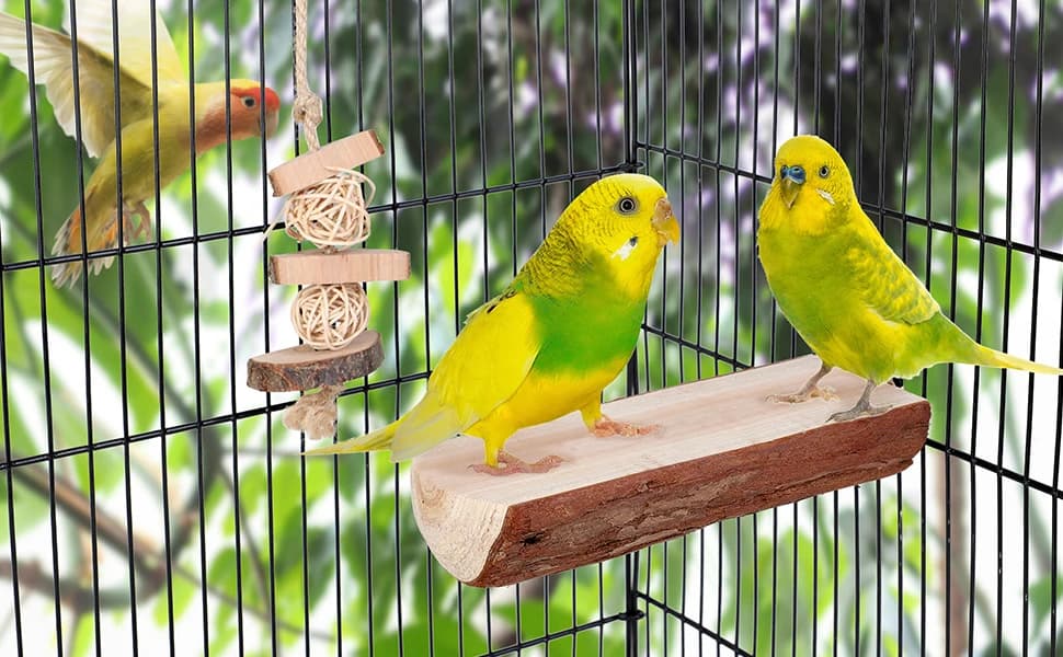 Parrot Cage Perch — Wooden Platform for Birds — product details