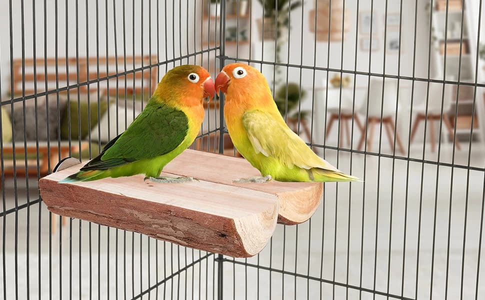 Parrot Cage Perch — Wooden Platform for Birds — product details