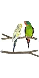 Parrot Cage Perch — Wooden Platform for Birds — product details