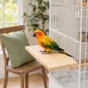 3 Pack Bird Perch Stand — Parrot Wood Platform