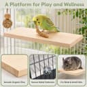 3 Pack Bird Perch Stand — Parrot Wood Platform