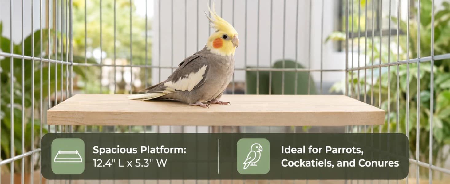 3 Pack Bird Perch Stand — Parrot Wood Platform — product details
