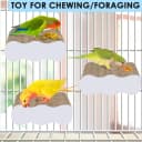 Bird Perch Conure Cage Stand Parakeet Shredder Foraging Toys Cockatiel Platform for Small Parrots Conure
