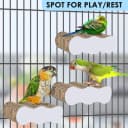 Bird Perch Conure Cage Stand Parakeet Shredder Foraging Toys Cockatiel Platform for Small Parrots Conure