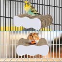 Bird Perch Conure Cage Stand Parakeet Shredder Foraging Toys Cockatiel Platform for Small Parrots Conure