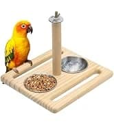 Bird Perch Conure Cage Stand Parakeet Shredder Foraging Toys Cockatiel Platform for Small Parrots Conure — collection imagery