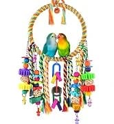 Bird Perch Conure Cage Stand Parakeet Shredder Foraging Toys Cockatiel Platform for Small Parrots Conure — collection imagery