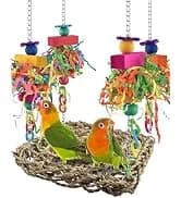 Bird Perch Conure Cage Stand Parakeet Shredder Foraging Toys Cockatiel Platform for Small Parrots Conure — collection imagery