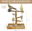 Natural Wood Bird Toys Playground