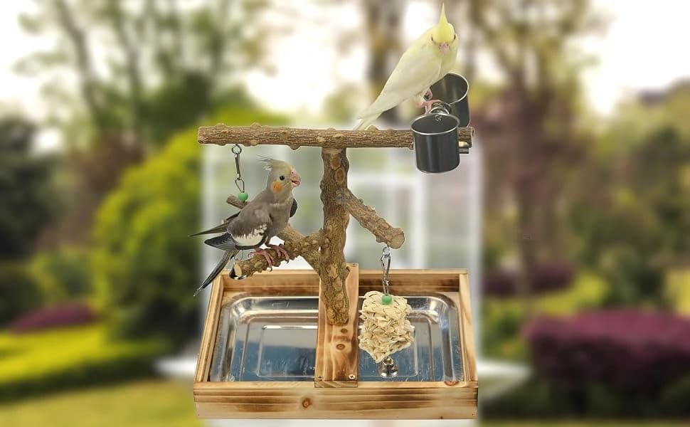 Natural Wood Bird Toys Playground — Bird Playground