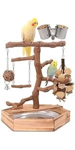 Bird Playground - Natural Wood Parrot Playstand with Perches — product details
