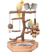 Bird Playground - Natural Wood Parrot Playstand with Perches — collection imagery
