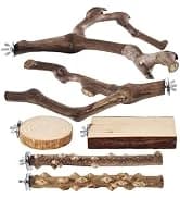 Bird Playground - Natural Wood Parrot Playstand with Perches — collection imagery