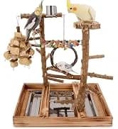 Bird Playground - Natural Wood Parrot Playstand with Perches — collection imagery