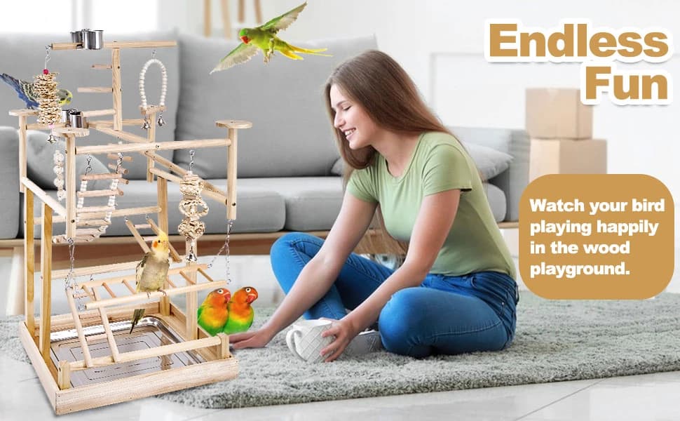 Bird Playground - Natural Wood Parrot Playstand with Perches — Endless Fun