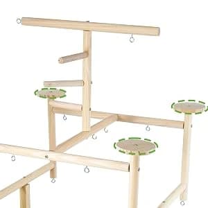Bird Playground - Natural Wood Parrot Playstand with Perches — collection imagery