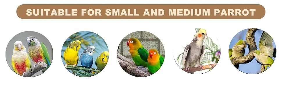 Bird Playground - Natural Wood Parrot Playstand with Perches — collection imagery