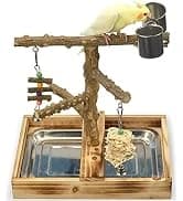 Bird Playground - Natural Wood Parrot Playstand with Perches — collection imagery