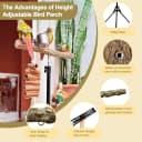 3-Layer 16-63 Inch Height Adjustable Bird Perch Pepper Wood Birds Training Perch Stand Parakeet Perches Outdoor