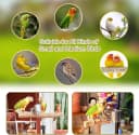 3-Layer 16-63 Inch Height Adjustable Bird Perch Pepper Wood Birds Training Perch Stand Parakeet Perches Outdoor