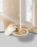Bird Perch Bird Feeding Cup Parrot Wood Perch Stand Toy Bird Cage Accessory for Parakeet Lovebird Conure Budgie