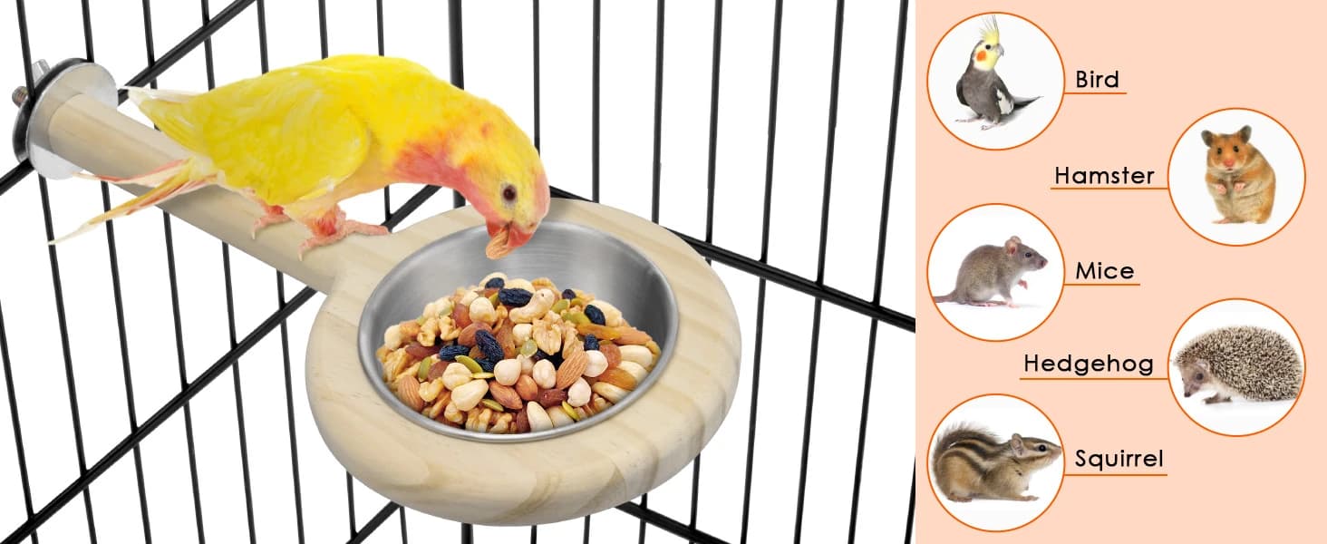 Bird Perch Bird Feeding Cup Parrot Wood Perch Stand Toy Bird Cage Accessory for Parakeet Lovebird Conure Budgie — Small Pet's Gift