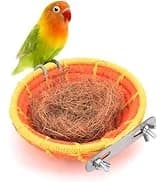Bird Perch Bird Feeding Cup Parrot Wood Perch Stand Toy Bird Cage Accessory for Parakeet Lovebird Conure Budgie — collection imagery