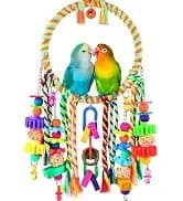 Bird Perch Bird Feeding Cup Parrot Wood Perch Stand Toy Bird Cage Accessory for Parakeet Lovebird Conure Budgie — collection imagery