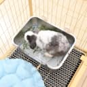 Stainless Steel Rabbit Sifting Litter Box — (M)
